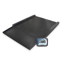 Báscula de Chão Baxtran BVR com rampa de acceso