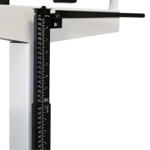 Tallimetro de balança medica baxtran RGT