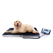 Balança Baxtran AIS-W