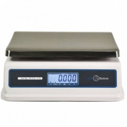 double display verified scale